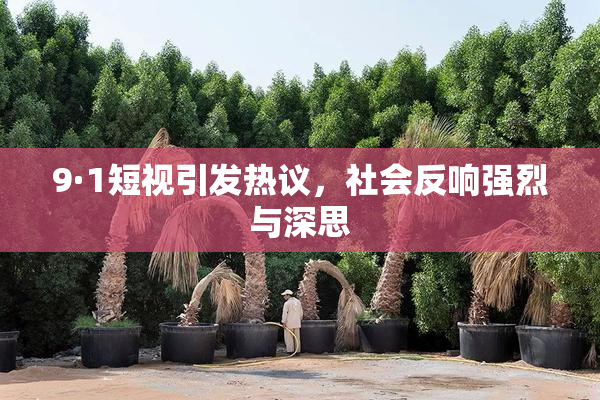 9·1短视引发热议，社会反响强烈与深思