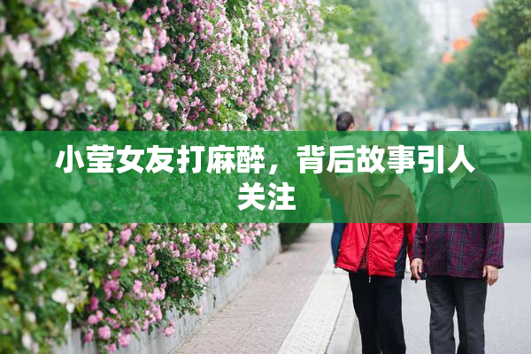 小莹女友打麻醉，背后故事引人关注