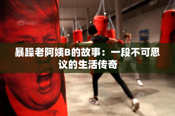 暴躁老阿姨B的故事：一段不可思议的生活传奇