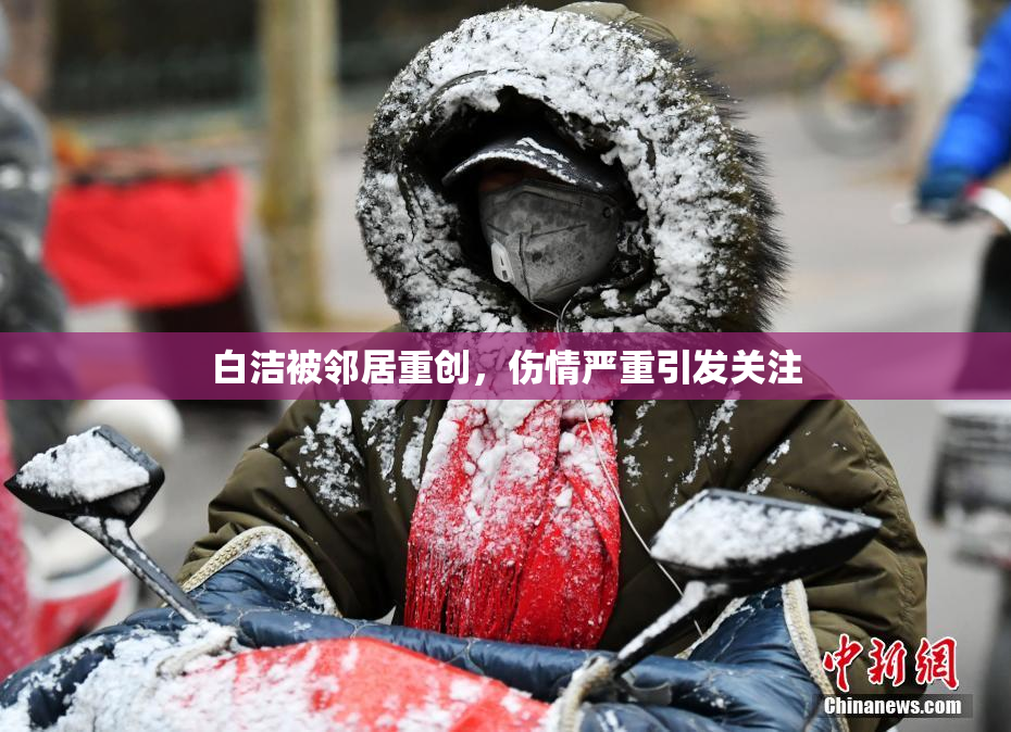 白洁被邻居重创，伤情严重引发关注
