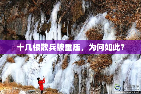 十几根散兵被重压，为何如此？