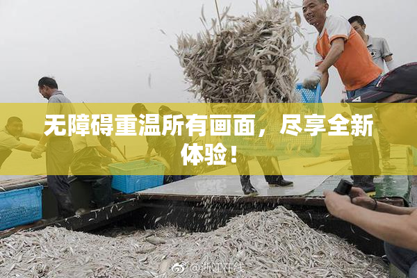 无障碍重温所有画面，尽享全新体验！