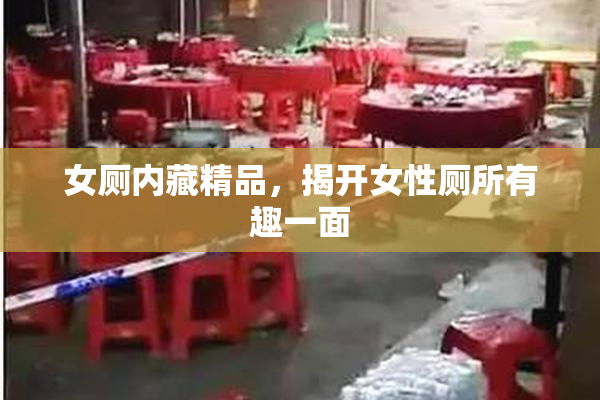 女厕内藏精品，揭开女性厕所有趣一面