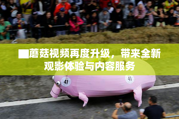 ▇蘑菇视频再度升级，带来全新观影体验与内容服务