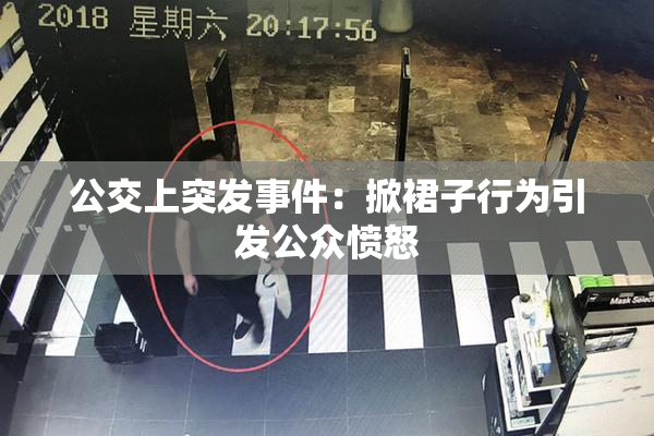 公交上突发事件：掀裙子行为引发公众愤怒