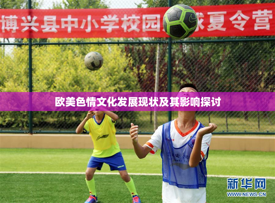 欧美色情文化发展现状及其影响探讨