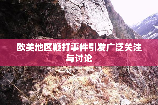 欧美地区鞭打事件引发广泛关注与讨论