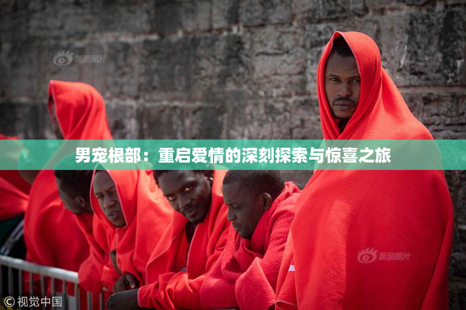 男宠根部：重启爱情的深刻探索与惊喜之旅