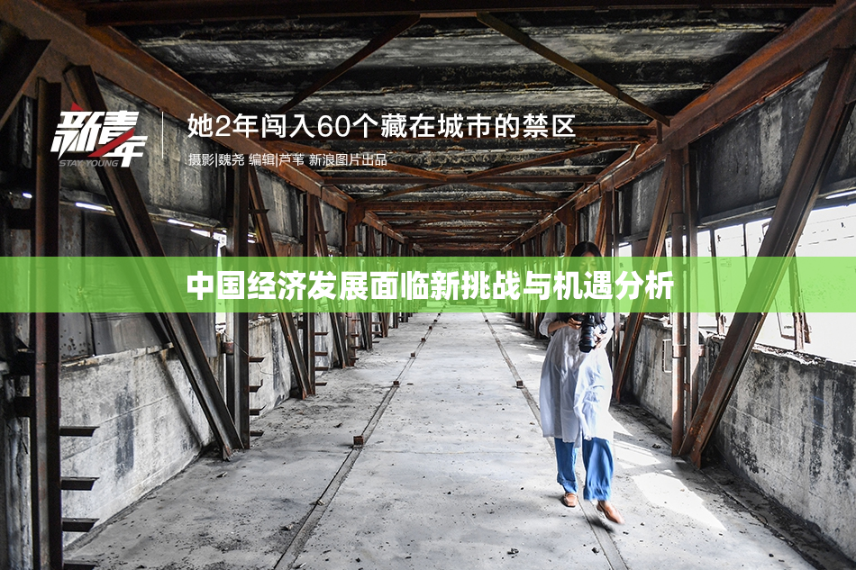 中国经济发展面临新挑战与机遇分析