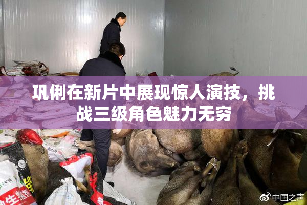 巩俐在新片中展现惊人演技，挑战三级角色魅力无穷