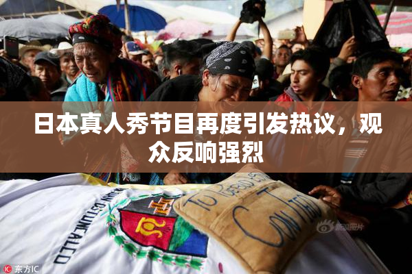 日本真人秀节目再度引发热议，观众反响强烈