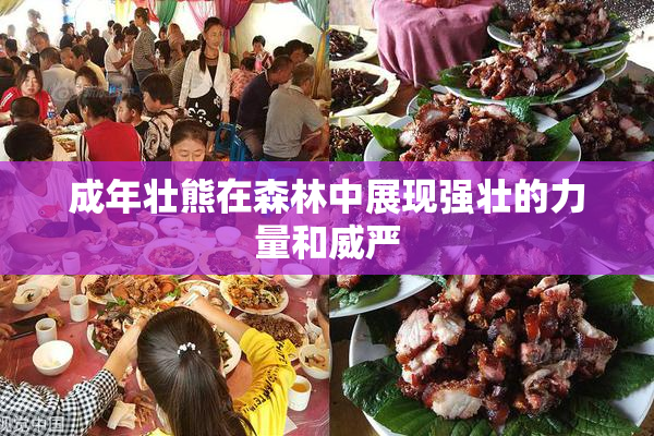 成年壮熊在森林中展现强壮的力量和威严