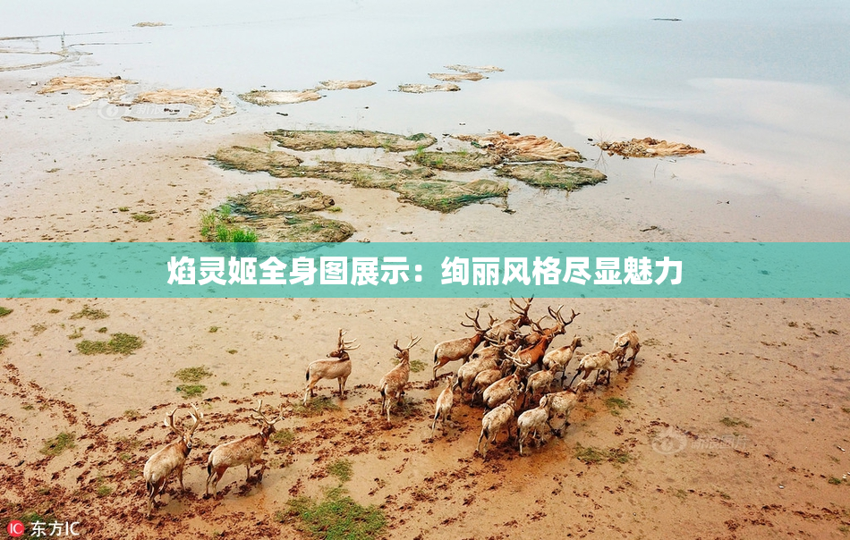 焰灵姬全身图展示：绚丽风格尽显魅力