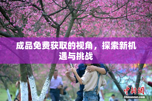 成品免费获取的视角，探索新机遇与挑战