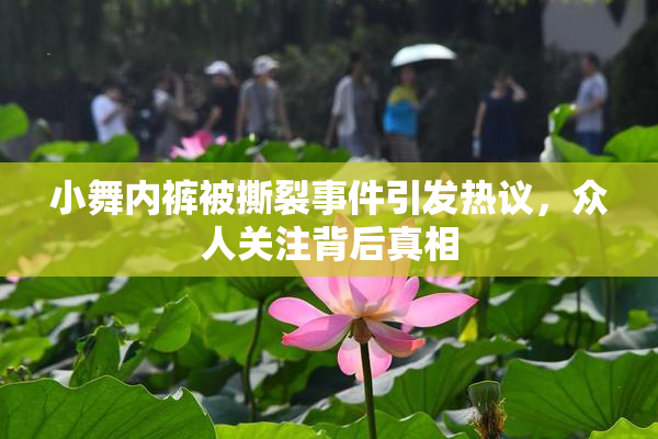 小舞内裤被撕裂事件引发热议，众人关注背后真相