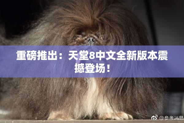 重磅推出：天堂8中文全新版本震撼登场！