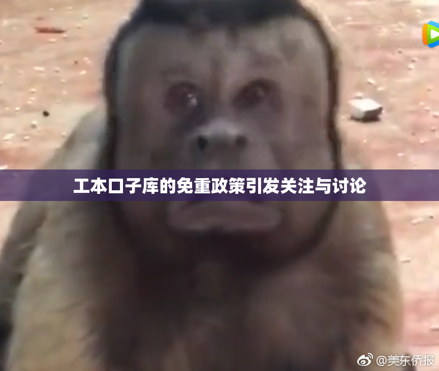 工本口子库的免重政策引发关注与讨论