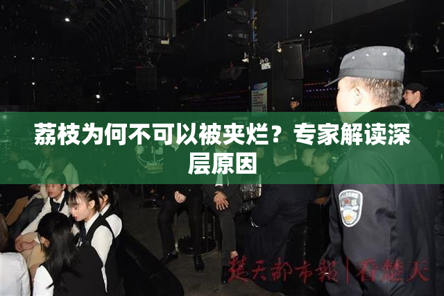 荔枝为何不可以被夹烂？专家解读深层原因