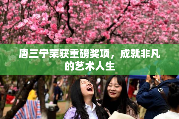 唐三宁荣获重磅奖项，成就非凡的艺术人生