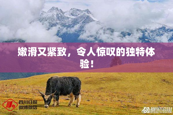 嫩滑又紧致，令人惊叹的独特体验！