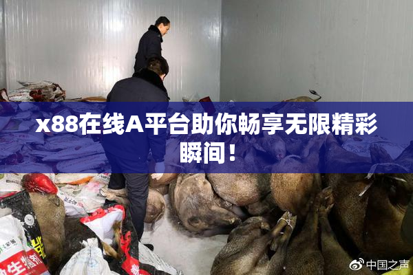 x88在线A平台助你畅享无限精彩瞬间！