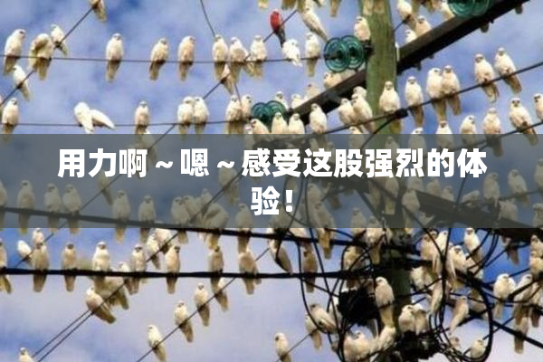 用力啊～嗯～感受这股强烈的体验！