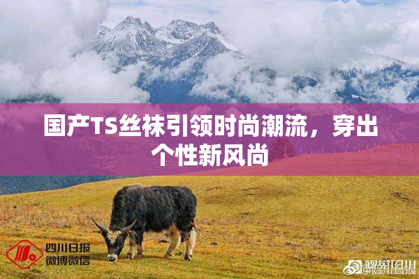 国产TS丝袜引领时尚潮流，穿出个性新风尚