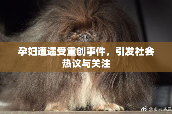 孕妇遭遇受重创事件，引发社会热议与关注