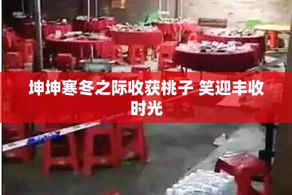坤坤寒冬之际收获桃子 笑迎丰收时光