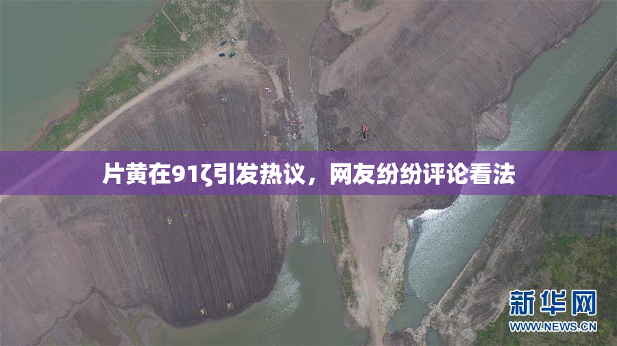 片黄在91ζ引发热议，网友纷纷评论看法