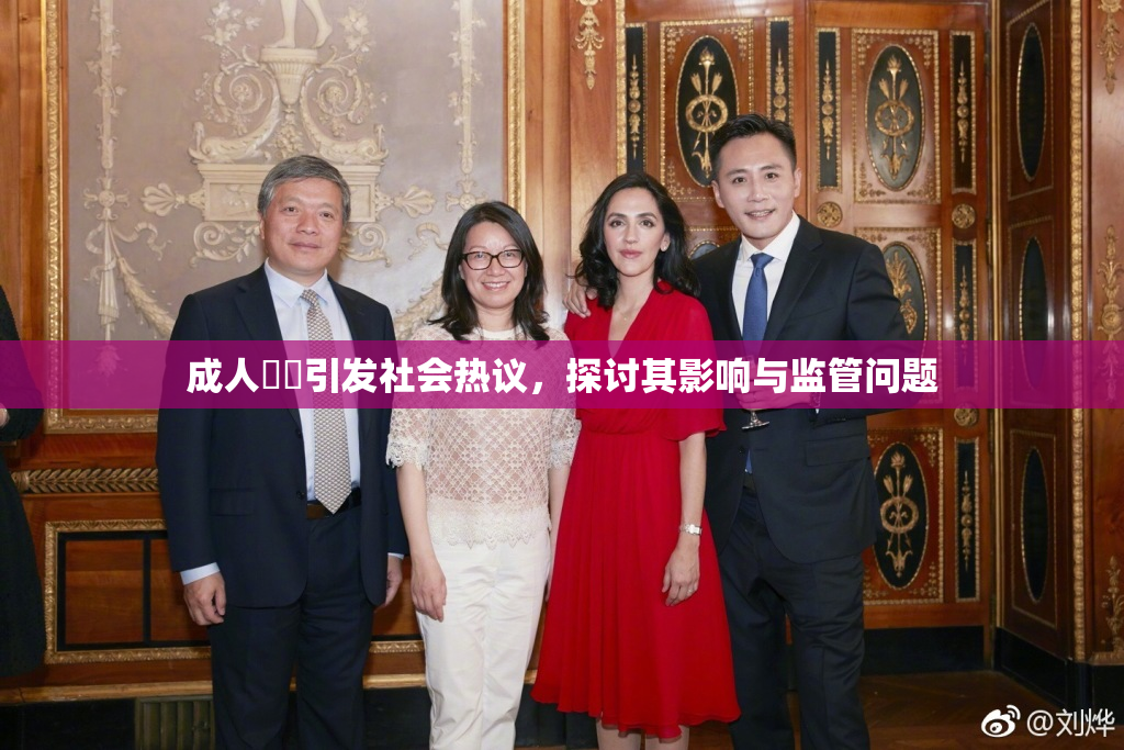 成人視頻引发社会热议，探讨其影响与监管问题