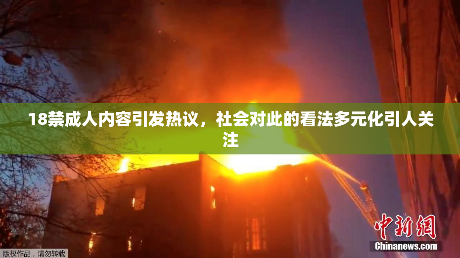 18禁成人内容引发热议，社会对此的看法多元化引人关注