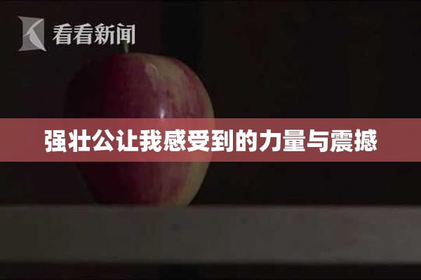 强壮公让我感受到的力量与震撼
