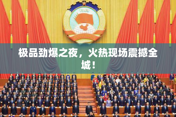 极品劲爆之夜，火热现场震撼全城！