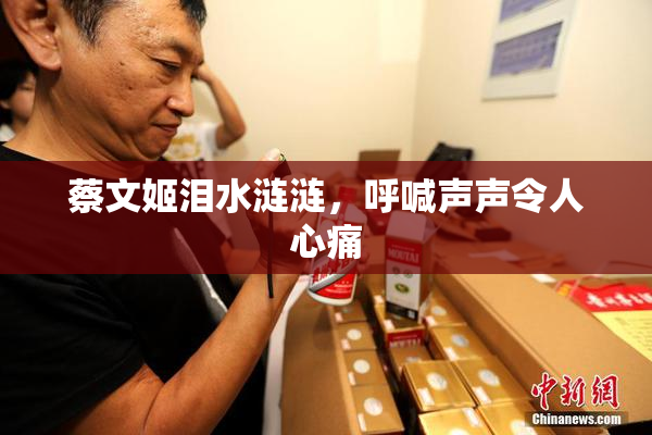 蔡文姬泪水涟涟，呼喊声声令人心痛