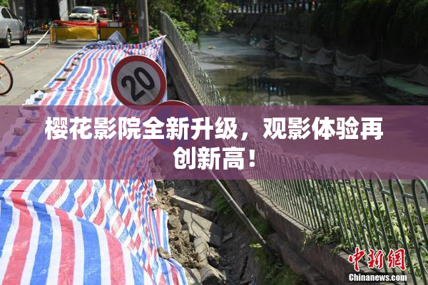 樱花影院全新升级，观影体验再创新高！