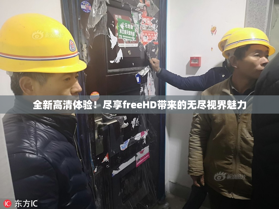 全新高清体验！尽享freeHD带来的无尽视界魅力