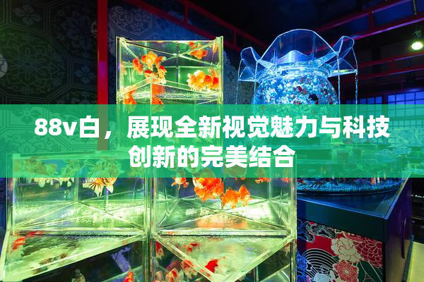 88v白，展现全新视觉魅力与科技创新的完美结合