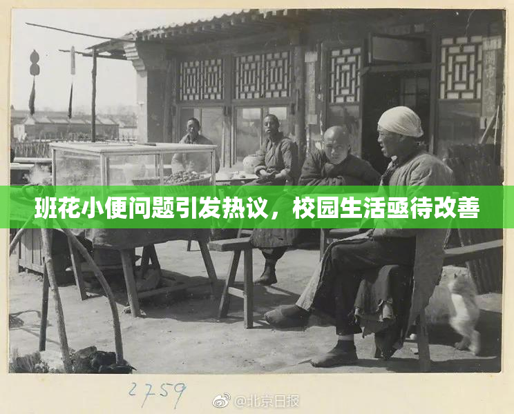 班花小便问题引发热议，校园生活亟待改善