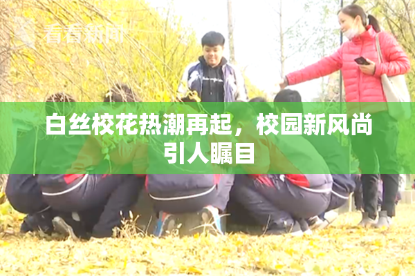 白丝校花热潮再起，校园新风尚引人瞩目
