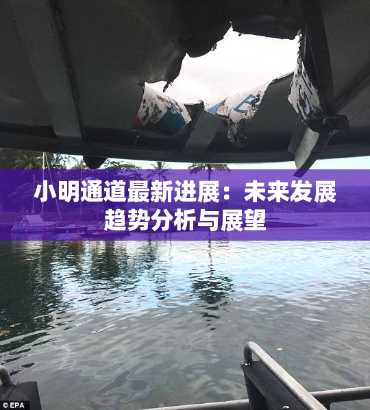 小明通道最新进展：未来发展趋势分析与展望