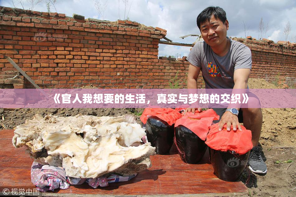 《官人我想要的生活，真实与梦想的交织》