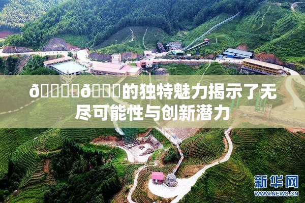 🔞‌🍌的独特魅力揭示了无尽可能性与创新潜力
