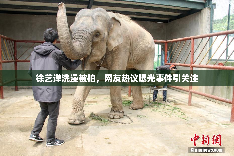 徐艺洋洗澡被拍，网友热议曝光事件引关注