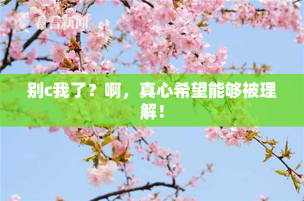 别c我了？啊，真心希望能够被理解！