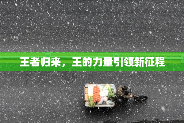 王者归来，王的力量引领新征程