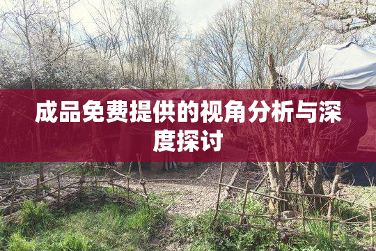 成品免费提供的视角分析与深度探讨