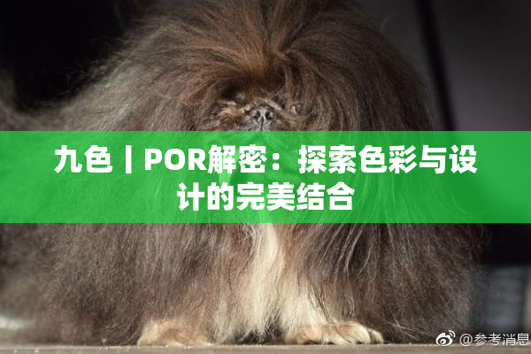 九色丨POR解密：探索色彩与设计的完美结合