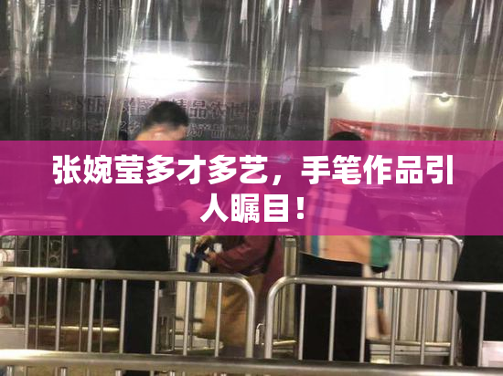 张婉莹多才多艺，手笔作品引人瞩目！