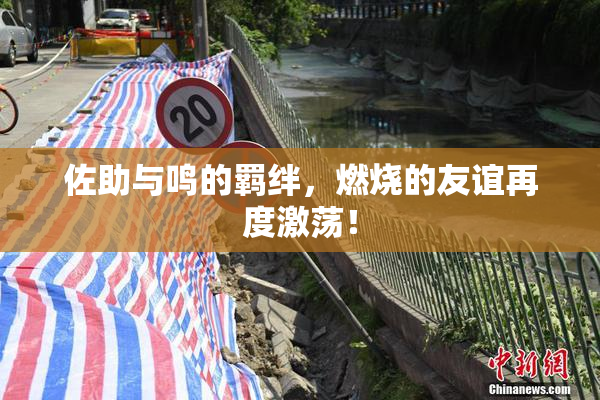 佐助与鸣的羁绊，燃烧的友谊再度激荡！